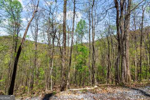 29 Ac Hidden Valley Drive, Ellijay, GA 30536