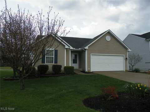 6449 Silverstone Lane, Medina, OH 44256