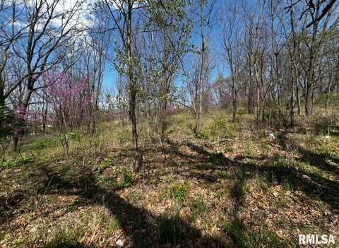 LOT 201 James Street, Port Byron, IL 61256
