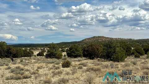 16 Five Gate Road, Pinehill, NM 87357