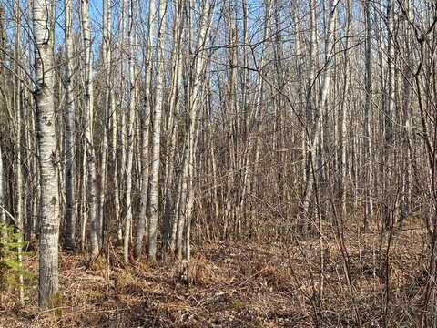 Near BEAR LAKE RD, Butternut, WI 54514