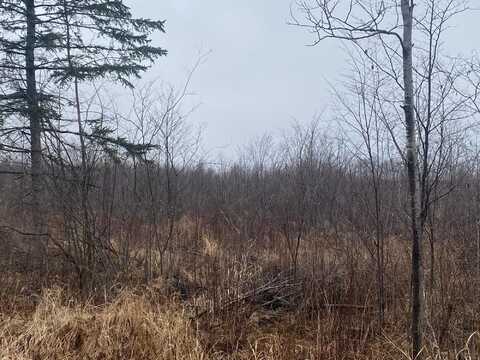 On SHAUGER RD, Ogema, WI 54459