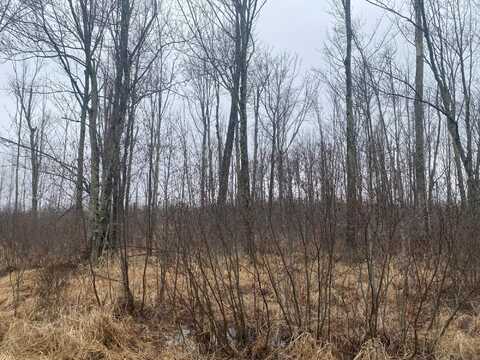 On SHAUGER RD, Ogema, WI 54459