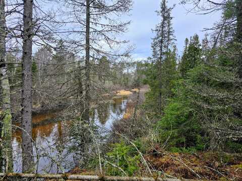 Off HWY 45, Eagle River, WI 54540