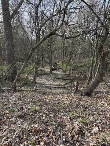 Lot 31 W High Street, Greenville, MI 48838