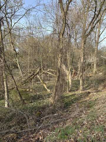Lot 32 W High Street, Greenville, MI 48838