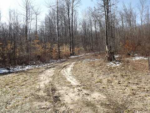 000 Valley Street, Alden, MI 49612
