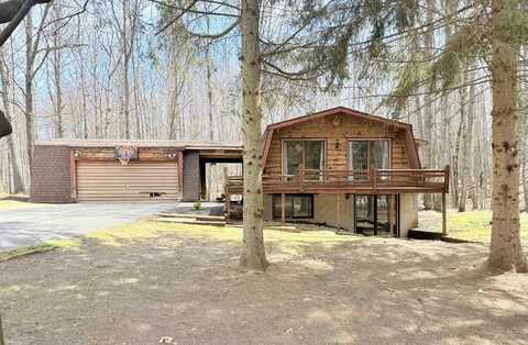 9640 Lost Canyon Drive, Canadian Lakes, MI 49346