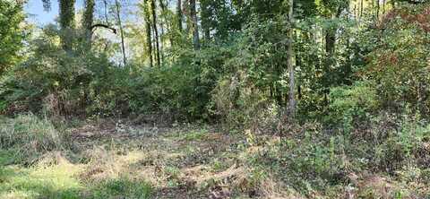 00000 N Shore Drive, Edwardsburg, MI 49112