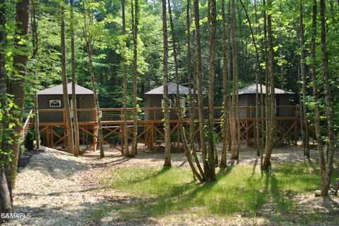 750 Caney Creek Road, Cosby, TN 37722