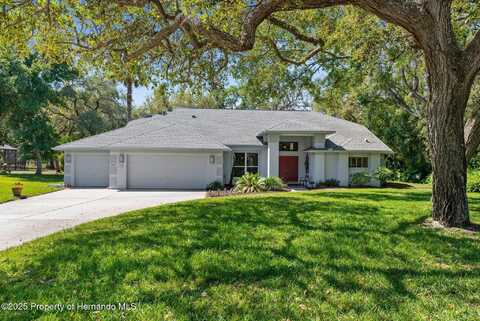 18663 Autumn Lake Boulevard, Hudson, FL 34667