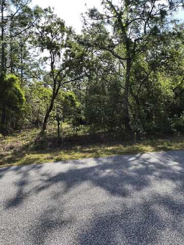 Christopher Lane, Weeki Wachee, FL 34613