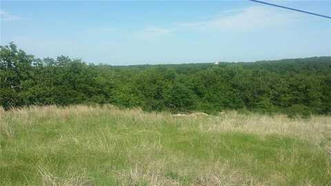 Tbt Bluffs Avenue, Bowie, TX 76230