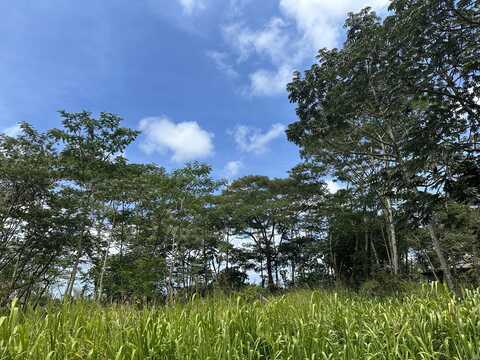 TIKI RD, KEAAU, HI 96749