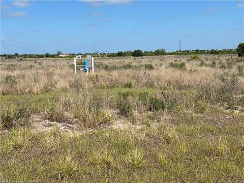 6219 Farmgirl Avenue, Venus, FL 33960