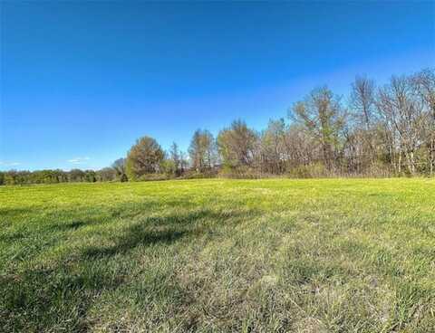 000 Sliffe Lane, Archie, MO 64725