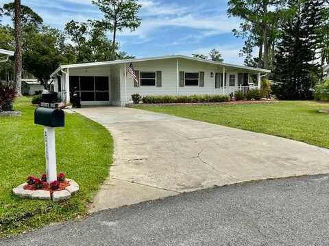 22 pine in the wood, Port Orange, FL 32129