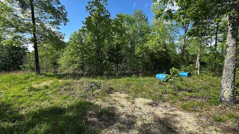 410 Hogg Hill, Lobelville, TN 37097