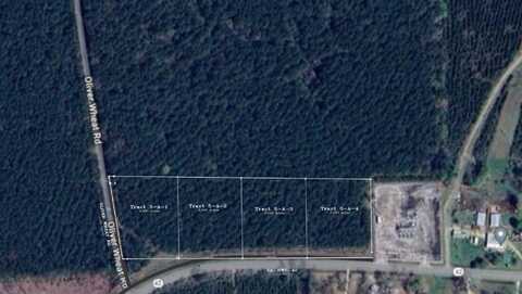 Lot 5-A-4 Hwy 42, Livingston, LA 70754