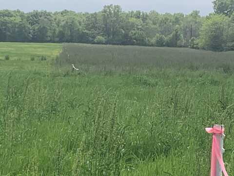 0 Puckett Bend Rd, Hebert, LA 71418