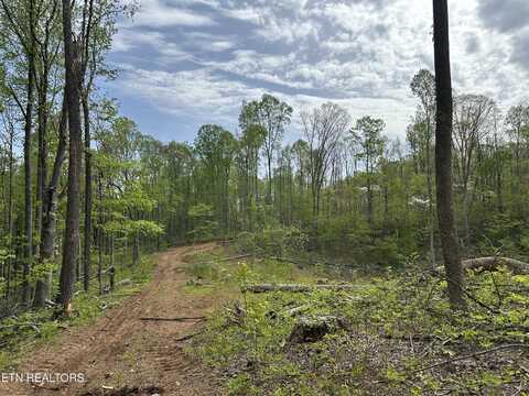 Easterly Circle, Rocky Top, TN 37769