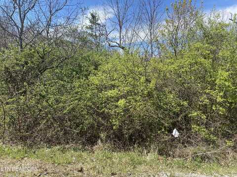 Lot #6 S HWY 127 N, Crossville, TN 38555