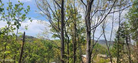 Lots 15&16 Headrick Lead, Sevierville, TN 37876