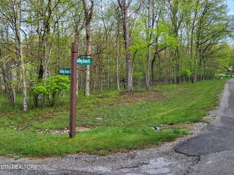 20 Rolling Green Court, Crossville, TN 38558