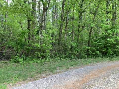 Fort Sumter Rd, Knoxville, TN 37938