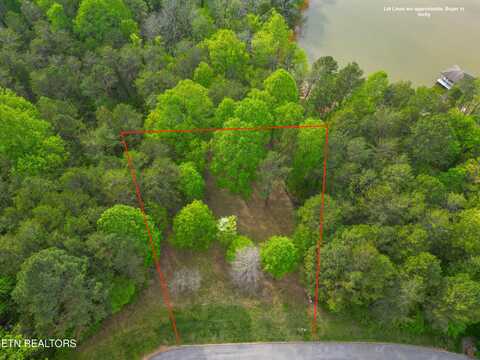768 Wood Duck Drive, Vonore, TN 37885