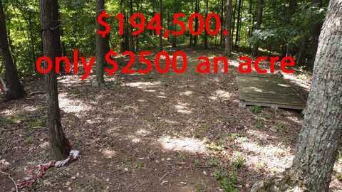 4200 Levelwoods Rd, Campbellsville, KY 42718