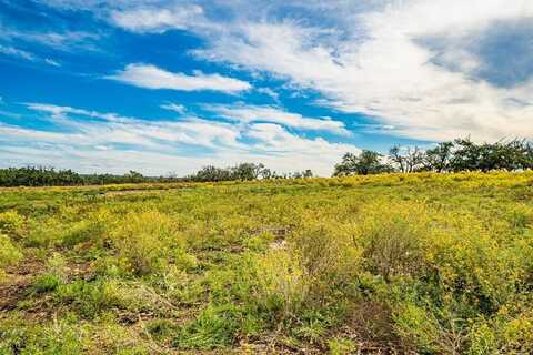 654 Scott Branch Rd, Harper, TX 78631