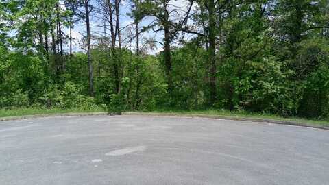 Tbd Antler Ridge, Dandridge, TN 37725