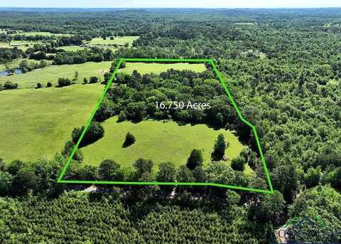 Tbd Ginger Road Tract 3, 16.75 Acres, Gilmer, TX 75644