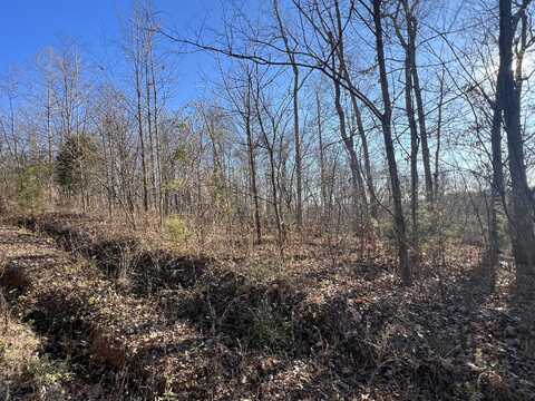 2 & 3 Spanns Lane, Somerset, KY 42501
