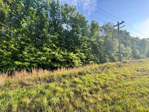 0 County Road 215, Jack, AL 36346