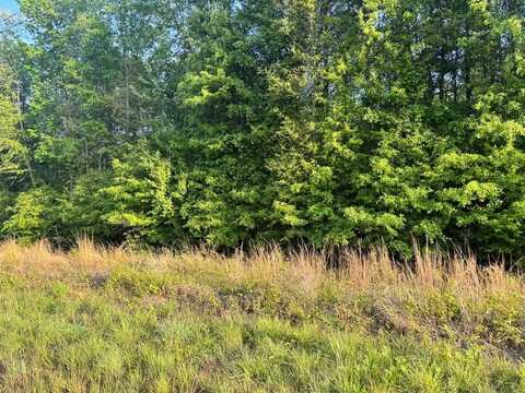 0 County Road 215, Jack, AL 36346