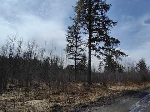 TTBD Nelson Road, L'anse, MI 49946