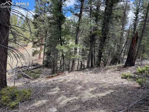 472 Pinewood Road, Florissant, CO 80816