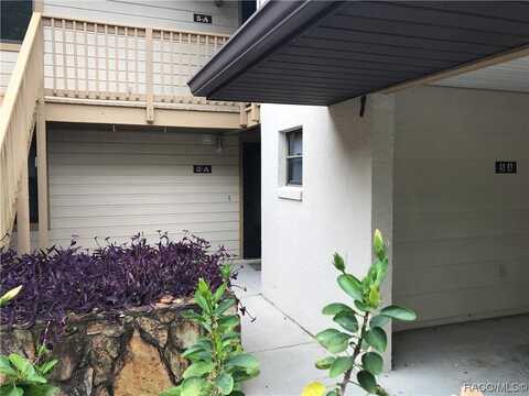 300 E Glassboro Court unit: 2A, Hernando, FL 34442