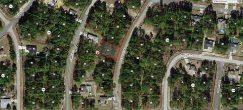 7930 N Janeaux Drive, Citrus Springs, FL 34434