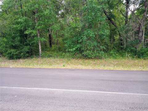 3218 E Fawn Court, Inverness, FL 34452