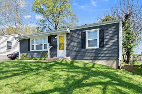 8847 Kathlyn Drive, Berkeley, MO 63134