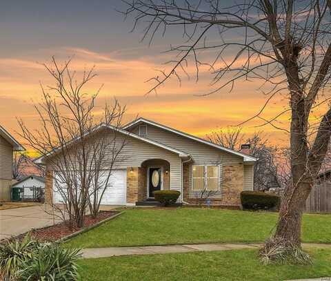 3261 Sabrina Lane, Florissant, MO 63031