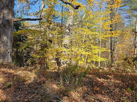 Lot #013 Staples Road, Newfield, ME 04095