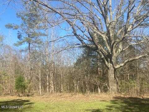 0 Hogan Road, Mount Pleasant, MS 38635