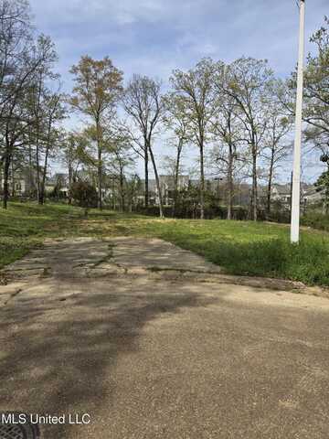 910 Ash Court, Ridgeland, MS 39157