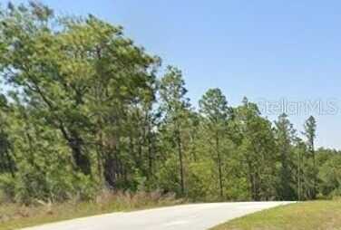 Tbd SW ADMIRAL LANDIND DRIVE, DUNNELLON, FL 34431
