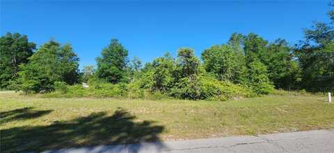 8263 SW 128TH PLACE, OCALA, FL 34473