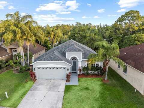 12531 BLAZING STAR DRIVE, TAMPA, FL 33626